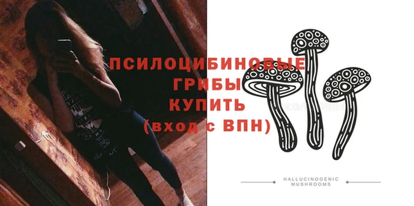 СК Верхний Тагил